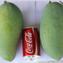 Mangifera indica 'Keaw Yai' (grafted).