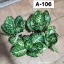 Aglaonema  Siam Compac A-106