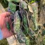 Hoya imbricata 107