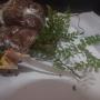 Asplenium sp.(T02) Sarawak