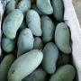 Mangifera indica 'Keaw Sawoey'.