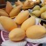 Mangifera indica 'Nam Doc Mai.
