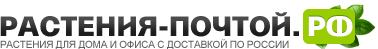 растения почтой